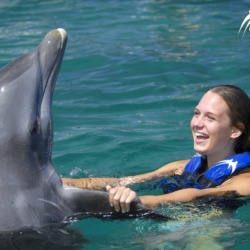 Swimming with the Dolphin