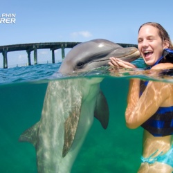 Interaction with Two Dolphins