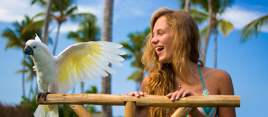 Tropical Birds in the Dominican Republic