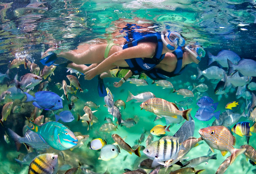 Snorkeling and scuba diving in Punta Cana
