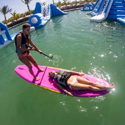 Paddle Board