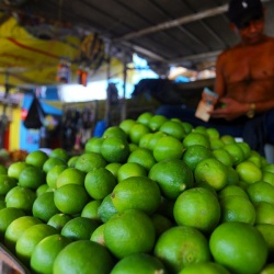 Municipal Market