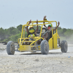 2-Hour Buggy Tour