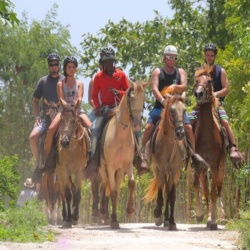 Horseback Riding