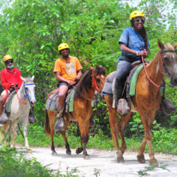 Horseback Journey