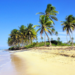 Will the Dominican beaches be open during the curfew in 2020?
