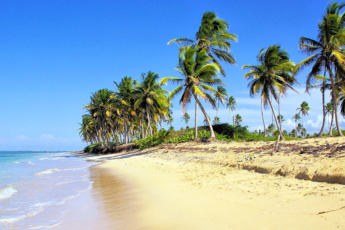 Why High Season 2025 (December-January) is the Best Time to Visit the Dominican Republic?