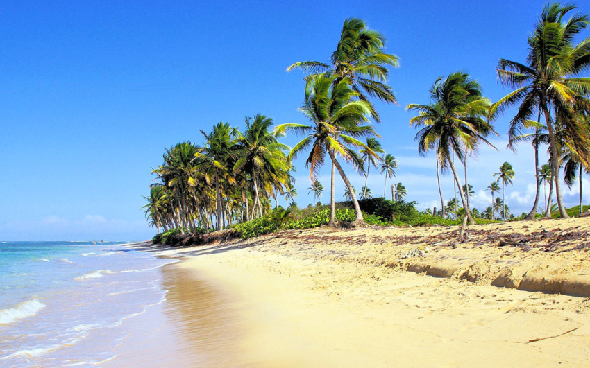 Bavaro Beach, the Dominican Republic