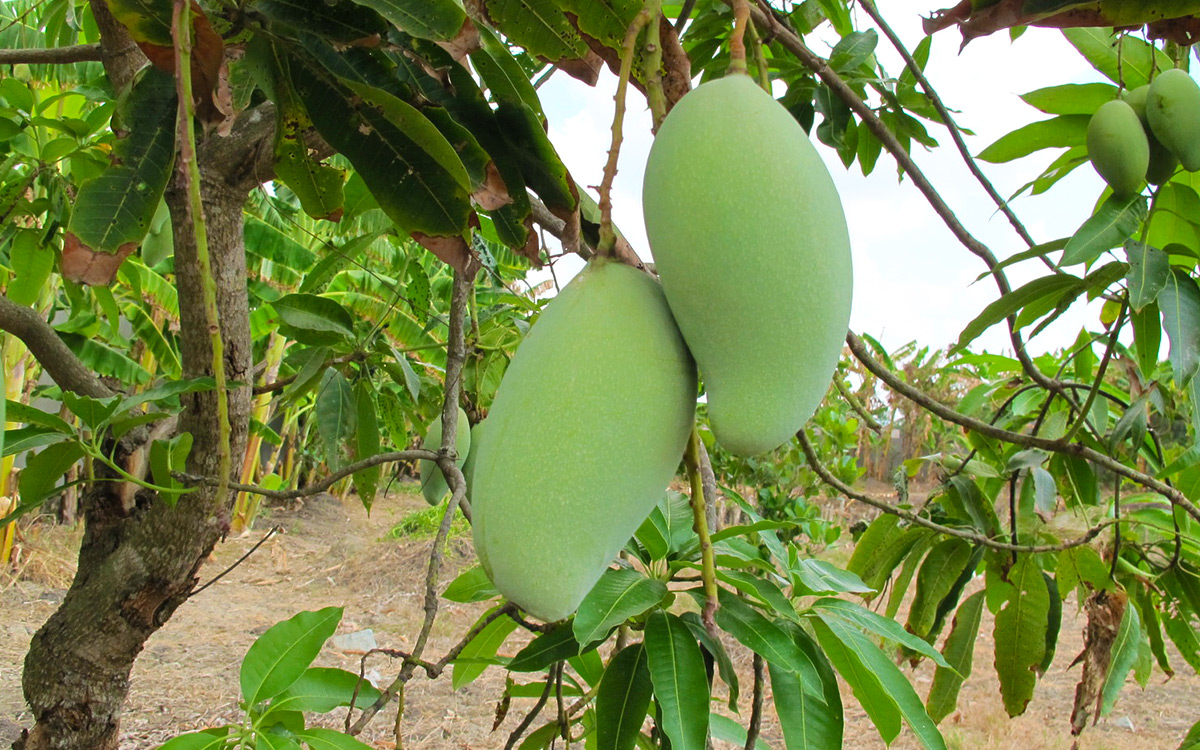 15 Reasons Why You Should Visit the Dominican Republic in 2024