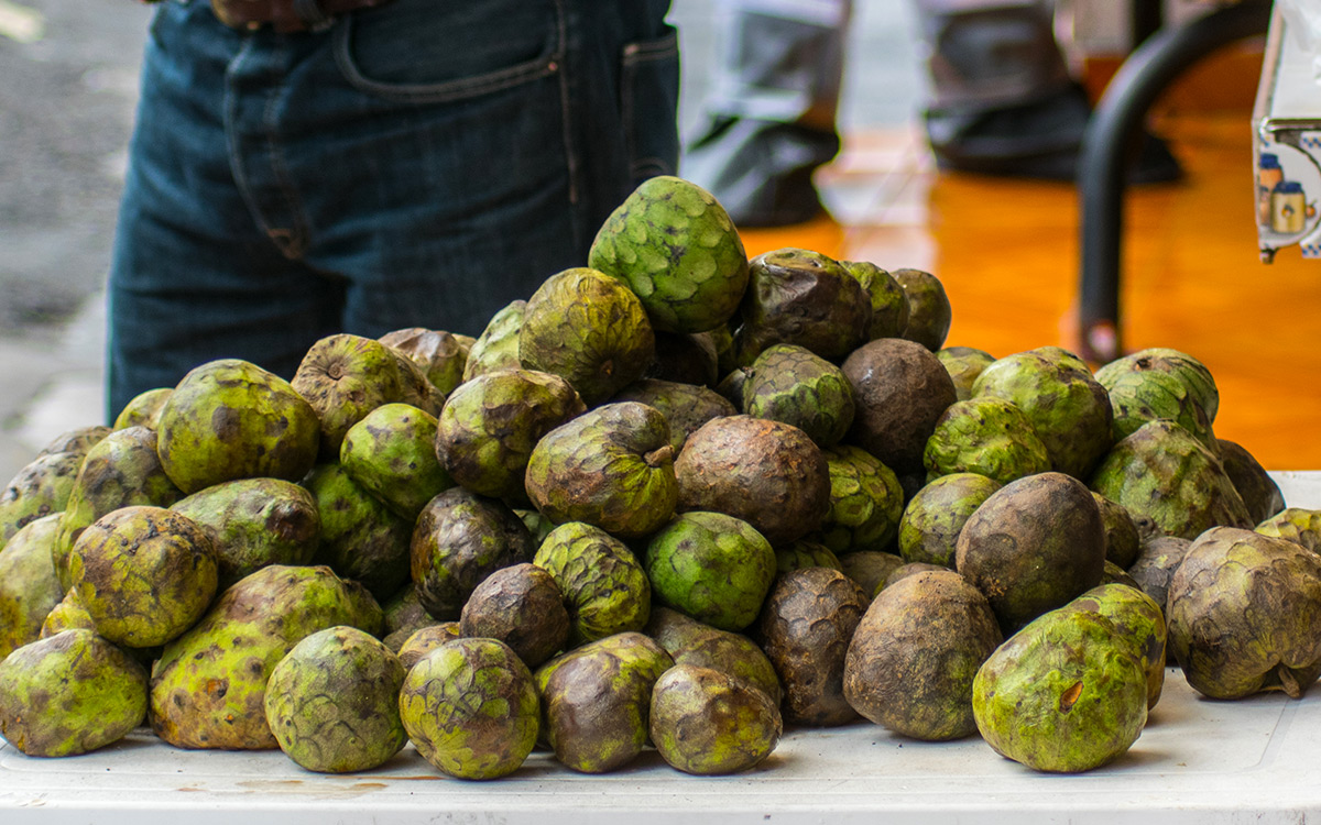 25 Best fruits of the Dominican Republic Exotic and popular fruits in DR