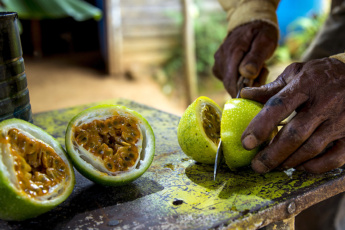 Best exotic fruits of the Dominican Republic to try in 2025