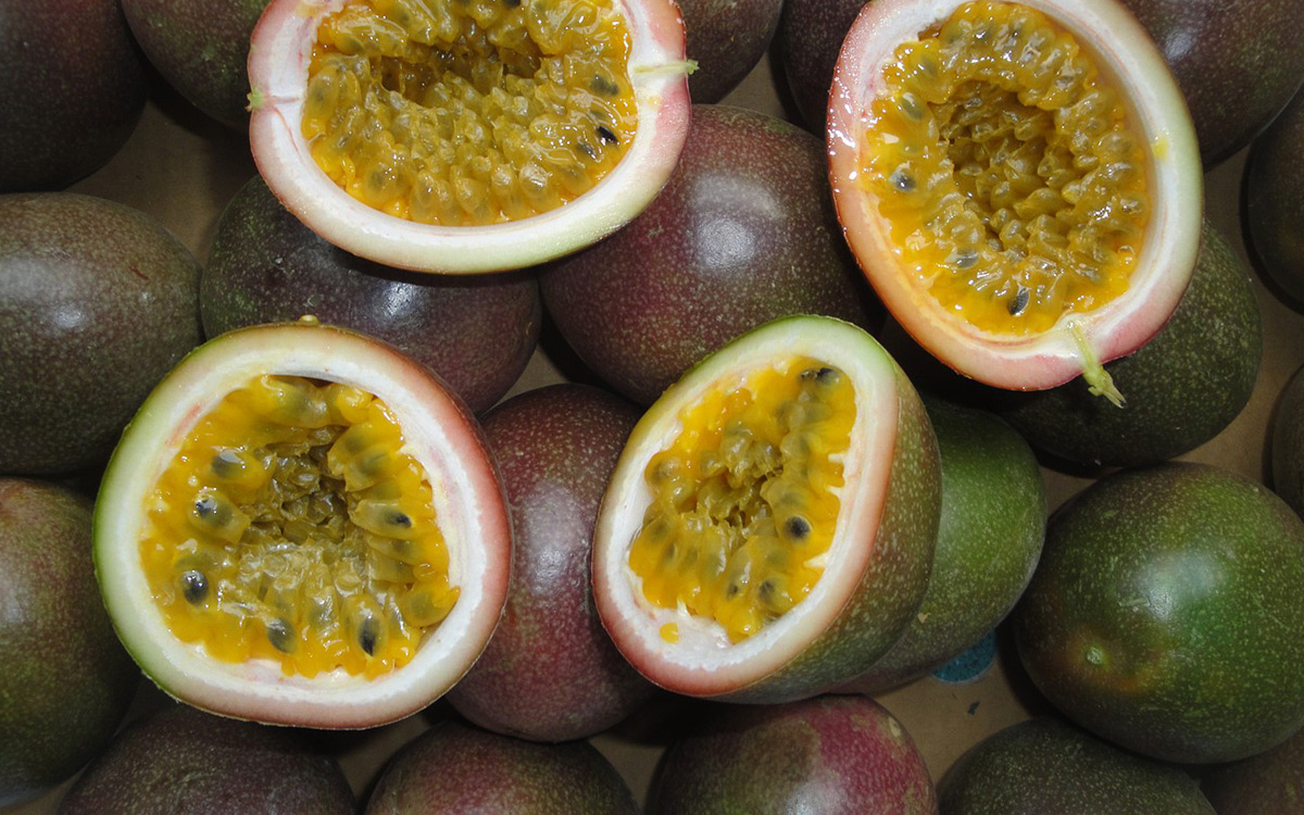 25-best-fruits-of-the-dominican-republic-exotic-and-popular-fruits-in-dr