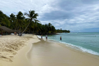 Seaweed in Punta Cana – What Time of the Year is There a Lot of Algae?