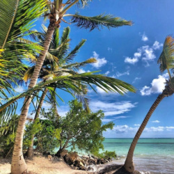 Untouched Beach