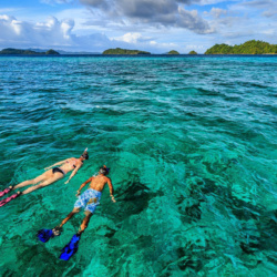 Sailing and Snorkelling Experience