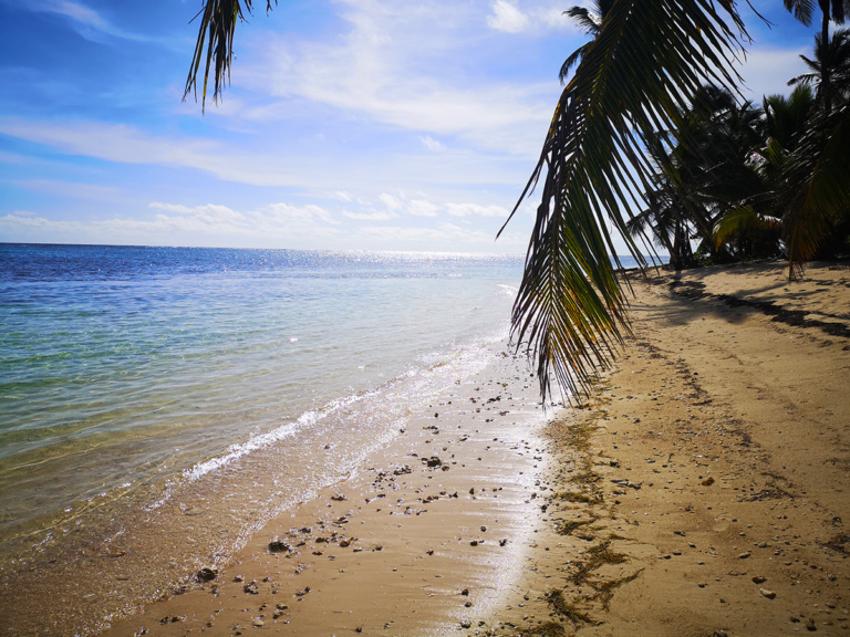 Cabeza de Toro Beach, Punta Cana