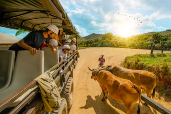 La Hacienda Park – 7-in-1 Adventures Tour in BÃ¡varo, Punta Cana