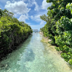Canal de Catuano & Mangrove-Protected Area