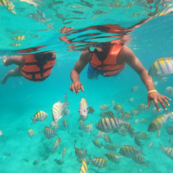 Snorkel en el Arrecife de Coral