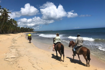 Beach Horseback Riding from Punta Cana – 4-Hour Tour to La Sabana de Nisibon and Playa El Limón Beach Horseback Riding from Punta Cana – 4-Hour Tour to La Sabana de Nisibon and Playa El Limón