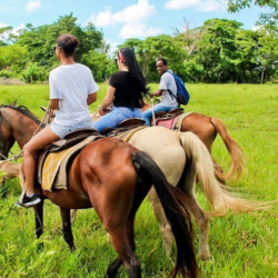 Riding Through Farms and Wetlands