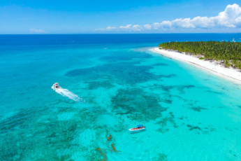 Tour VIP Privado a Isla Saona – Día Completo, Laguna Azul, Snorkel en Arrecife, Bosques de Manglares