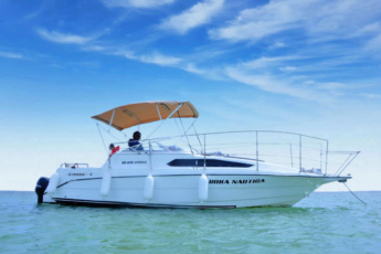 Best Private Punta Cana Snorkeling Tour – 3 Hours, Best Spots, Small Group, Equipment