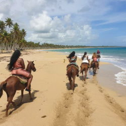 Horeseback Ride & El Limon Beach