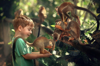 Unique Monkeyland Tour from Punta Cana – Squirrel Monkeys, Botanical Garden, Coffee Plantation