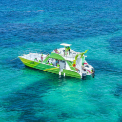 3-Hour Catamaran Tour