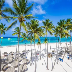 Top 12 Things to See in Punta Cana in 2025 – Best Attractions, Popular Tours & Unique Activities