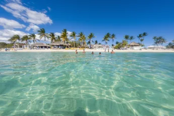 Best Snorkeling in Punta Cana – Complete Guide 2025 with Top Spots, Safety Tips, & Tour Prices