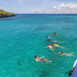 The Wall – Dive & Snorkel Spot