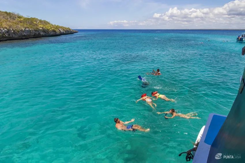 Snorkeling at Catalina Island