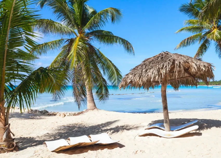 Beach view on the Isla Saona