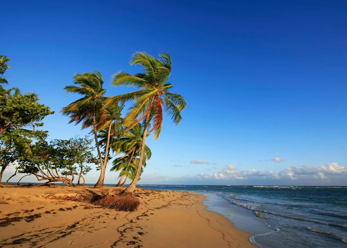 Las Terrenas Beach