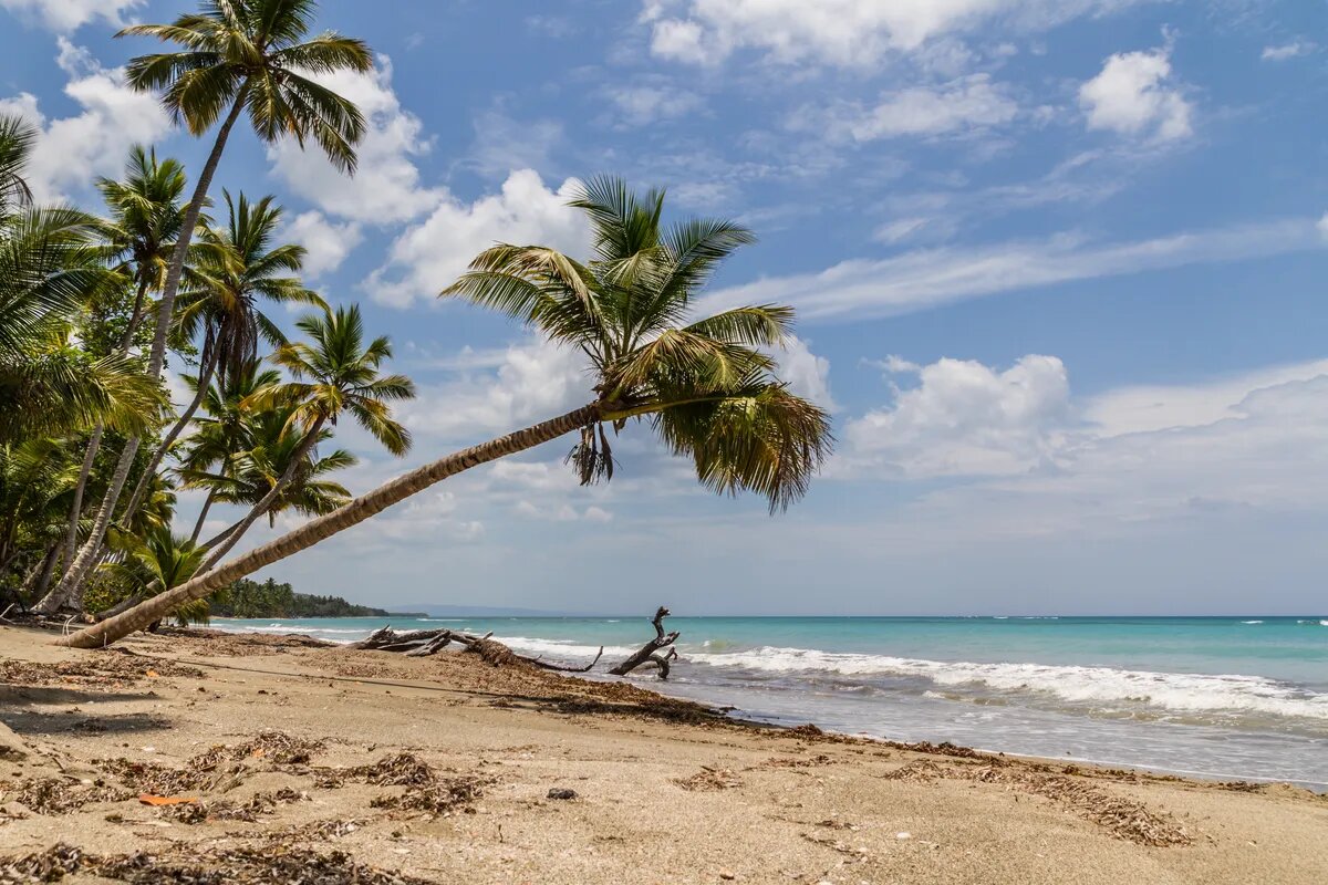 Rogelio Beach 