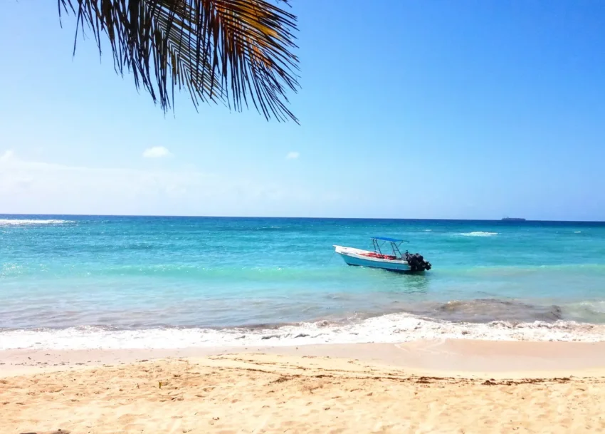 Saona Island Trip by catamaran tour