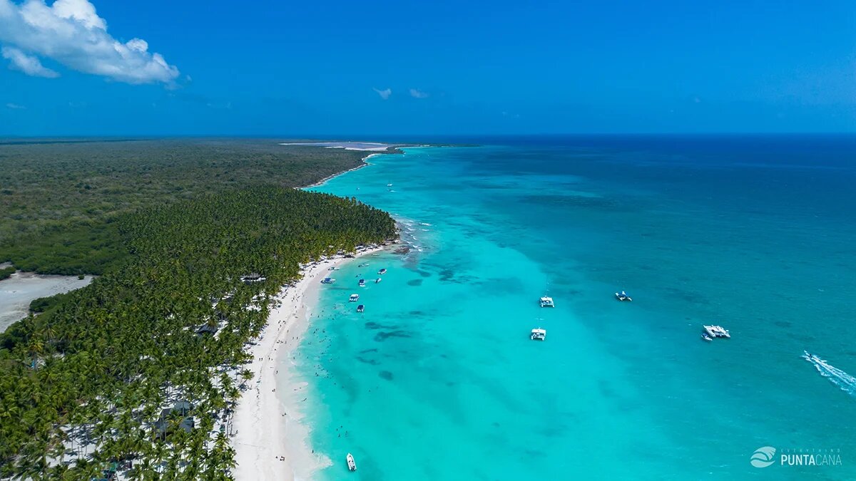 Saona Island top view