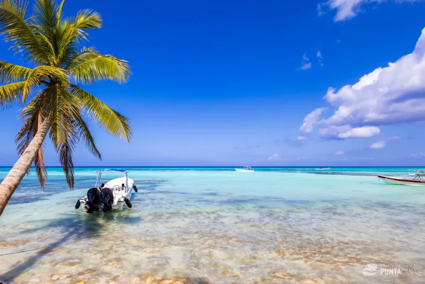 Saona Island, the Dominican Republic