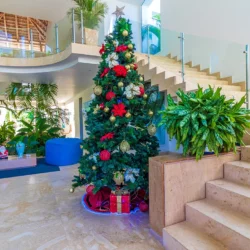 Christmas in Punta Cana 2025 – Best Villas and Apartments, Popular Excursions, & Booking Tips