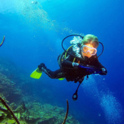 The Aquarium – Vibrant Dive Site