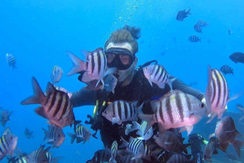 Scuba Diving Tour from Punta Cana – Catalina Island Dive & Snorkeling Trip with Buffet & Open Bar Scuba Diving Tour from Punta Cana – Catalina Island Dive & Snorkeling Trip with Buffet & Open Bar