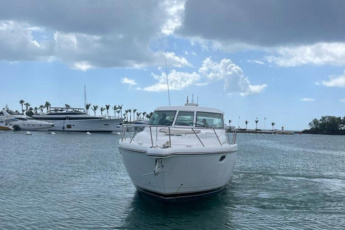 Punta Cana Yacht Charter – Private Day Trips to Saona, Catalina – Snorkeling & Drinks