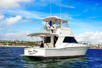 Deep Sea Punta Cana Fishing on a 37ft Sport Fishing Yach – Private Yacht Trips with Snorkeling Deep Sea Punta Cana Fishing on a 37ft Sport Fishing Yach – Private Yacht Trips with Snorkeling