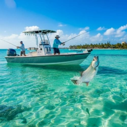 Punta Cana Fishing 2025 – Complete Guide to Species, Seasons, Costs, and Local Tips
