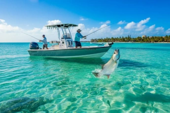 Punta Cana Fishing 2025 – Complete Guide to Species, Seasons, Costs, and Local Tips
