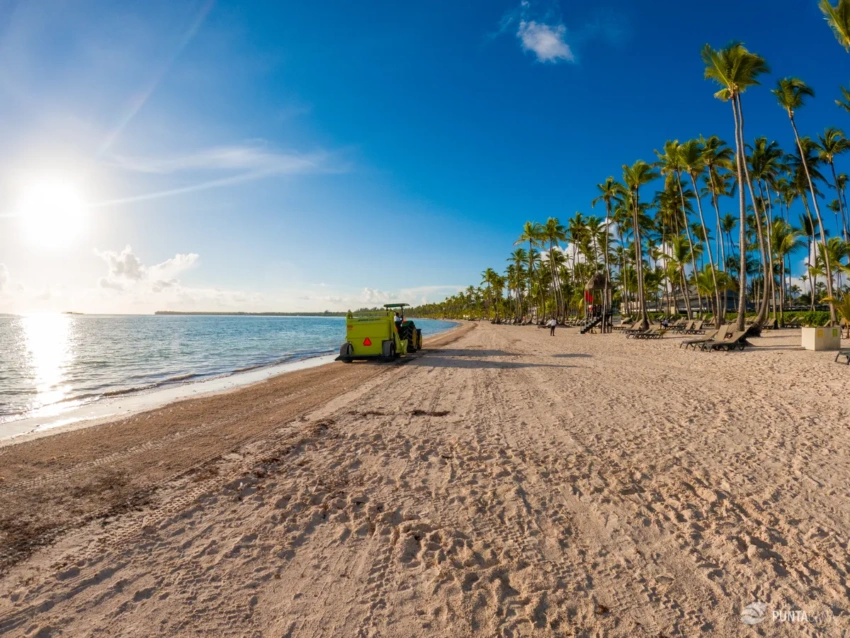 The Beach Near Barcelo Bavaro, Punta Cana