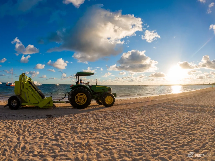 Creating a Sargassum Value Chain