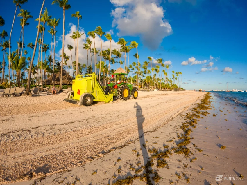 Morning Beach Cleanup